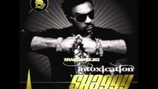 Shaggy - I Can't Fight This Feeling (Baddaz Riddim)