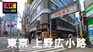 【4K】東京 上野広小路駅周辺の路地を散歩 不忍池 | Walk around the alley around Ueno Hirokoji Station in Tokyo. (Aug. 2021)