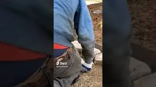 Custom Curbing
