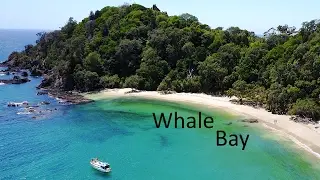 Come fly with me to: | Whale Bay, Tutukaka |