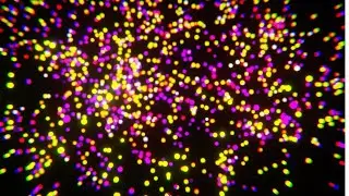 【4K UHD】MINIMAL COLOR PARTICLE LOOP | 1 HOUR |