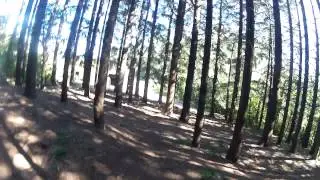 Campo di Croce monti pisani breve single track MTB