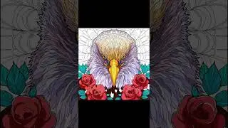 🖌️ Quick Digital Coloring - 13 - Eagle🖌️