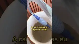 Sifonando substrato #aquariomarinho #reeftank #aquarium #saltwatertank #sifao