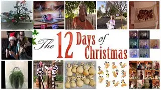 12 Days of Christmas Parody | MS3
