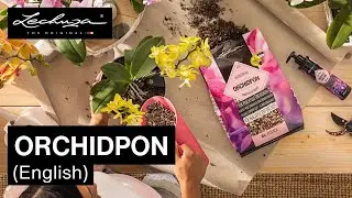 Planting Substrate ORCHIDPON | LECHUZA | English