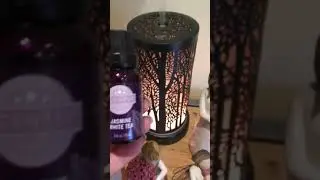 Jasmine // Essential oils // Diffuser // Relaxing & Refresh // Hayleysheavenscents