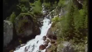 PROVINCIA DI BELLUNO 