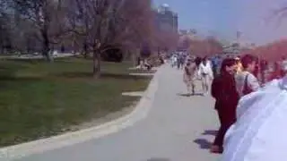 Niagara Falls part 2