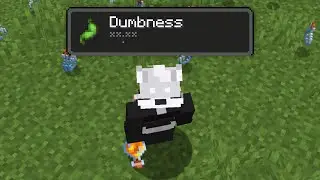 i'm stupid