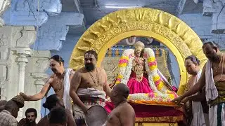 ரத சப்தமி சூர்ய பிரபை வாகனம் புறப்பாடு Kanchi sri varadaraja perumal 25 Jan 2026 Rathasaptami