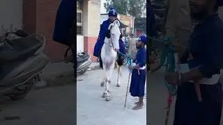 #khalsaraj