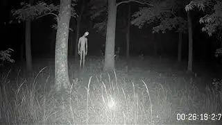 &ldquo;Alien&rdquo; Caught on cctv Footage😱 MUST WATCH‼️
