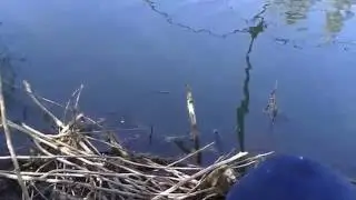 Düzen (Çökertme) ile balık avı Seydişehir