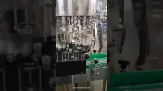 Equal liquid level rotary bottle filling machine for fruit wine and red wine