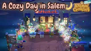 Terraforming in Salem 🌙 | Cozy ACNH Forever World Longplay (No Commentary)
