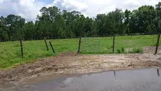 Charles D. Hall DOJ CI & Astrid Hall Daily Cattle/Mare Harass Disrupting Feeding Time, May 31, 2018