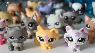 TOP 20 - mes Chats LPS préférés !