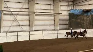Brooklynn - Western Pleasure 13 & Under - Oregon Morgan Classic 2021
