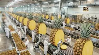 Inside The Pineapple Juice Factory &ndash; Full Process How Million-Dollar Juice Are Made