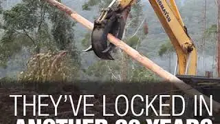 The Northern Rivers has a dark secret