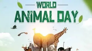 WORLD ANIMAL DAY 2025#agribusiness #animal welfare#motivation #awareness #Save Animals 