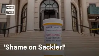 Why the Sackler Name Is Being Removed From The Met