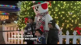 PNC Festival of Lights won BEST Zoo Lights 7 years - Cincinnati Zoo