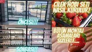 ÇİLEK HOBİ SETİ KURULUM REHBERİ, BÜTÜN AŞAMALARI İLE SİZLERLE.. #topraksıztarım #hydroponics