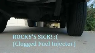Rocky's Sick! (Fuel Injector clogged! + O'Reilly Fuel Injector Cleaner)