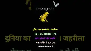 दुनिया का सबसे ज़हरीला मेढ़क || काटने पर कोई उपाय नहीं है... 
