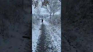 Snow fall Copenhagen #snowfall #winterseason#christmas2022 #trending #viral #ytshorts #tiktok