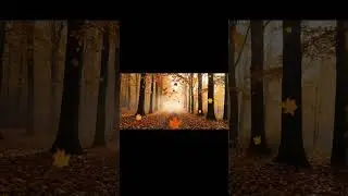 The forest doesn&rsquo;t wait &mdash; it drifts, it dances, it breathes.