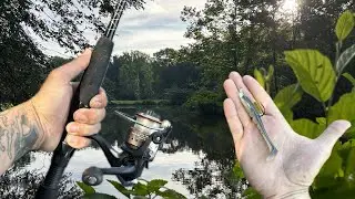 Ozark Trail GRIT STICK Spinning Combo Review- ish