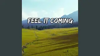 Feel It Coming