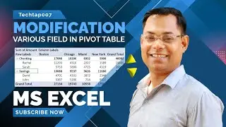 Modification of various field in pivot table, Microsoft Excel