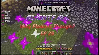 BlightFall: Minecraft Modded Survival Ep 29