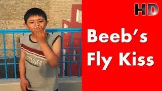 Beeb's Fly kiss | Beeb's Life Style | The Incredible child