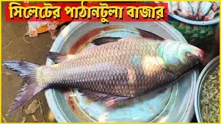 সিলেটের পাঠানটুলা মাছ বাজারে নায্য মূল্যে মাছ বেচাকেনা হয় | Sylhet Pathantula Fish Market