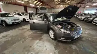 Focus MJ16 YYE