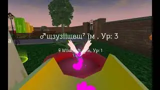 cute pocket cat 3D part 2 #1! @catandpro20  @CAT-55555