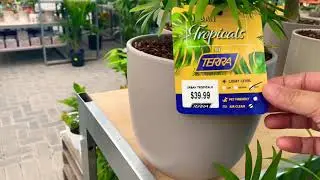Terra Garden Center/plant shopping/CANADA plants