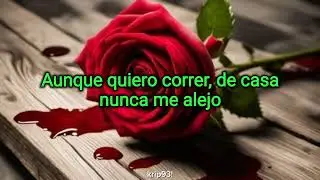 Bon Jovi - Cama de rosas (letra)