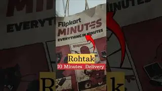 Rohtak Flipkart Minutes Loot! 😳💥 10+ Orders | Billi + Virat-Rohit Sunday Vlog 🏏