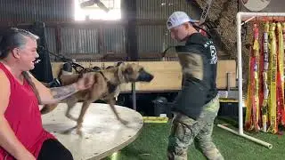 Pepper- PSA training