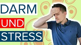 😲Darm und Stress - Kommen dein Stress und deine &Auml;ngste von einer gest&ouml;rten Darmflora?