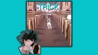 MHA Lyric Prank || Adam - Alex G || MS Deku Angst || Read Disc 😣