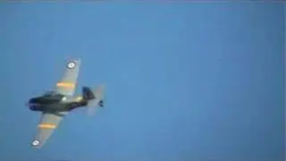 RAAF Winjeel Flying Display