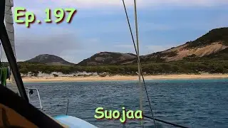 Ep.197. Suojaa
