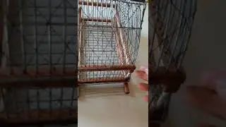 DEMOSTRACI&Oacute;N DE TRAMPERO 